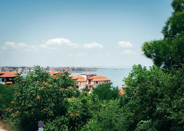 Paradise סוזופול